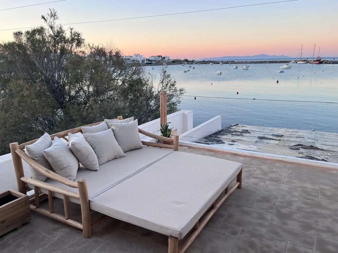 Daybed beside olive tree with harbor sunset view