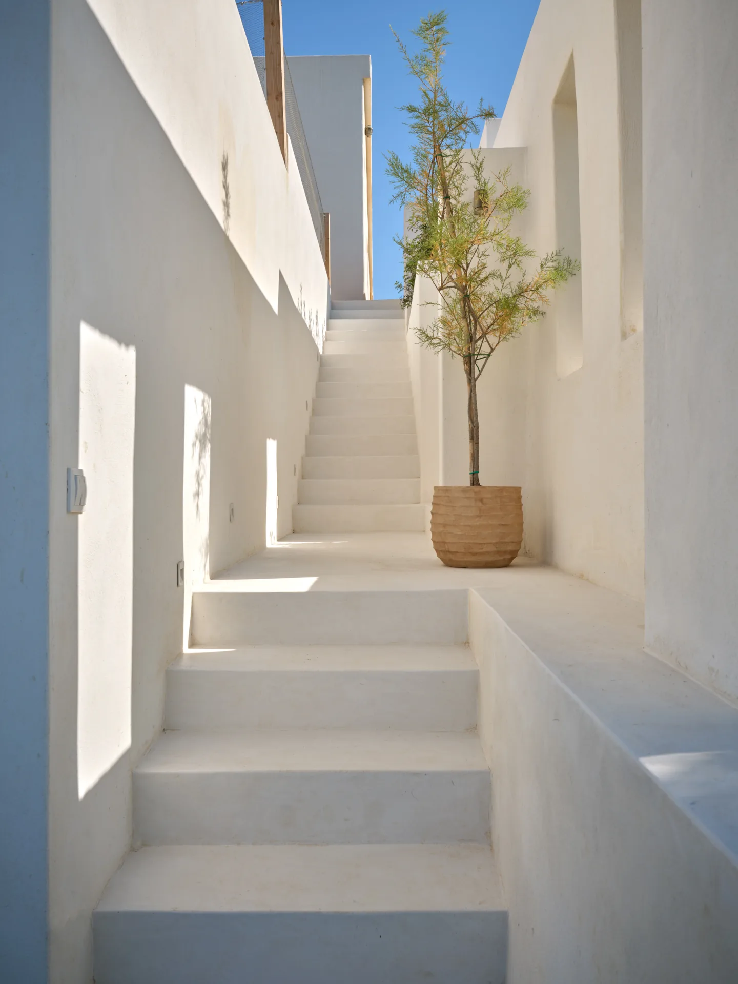 White entrance stairs with potted tree